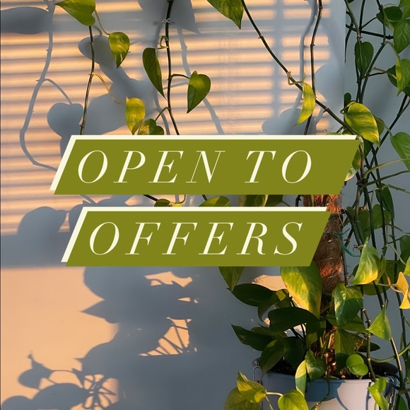 Express Women’s Cardigan - Picture 4 of 4